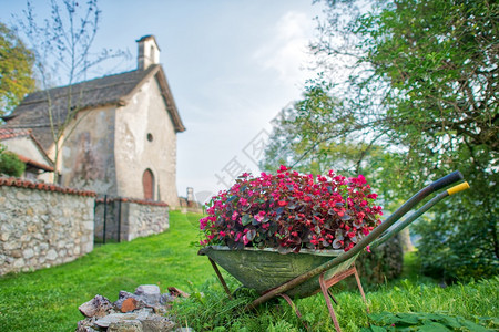 北方在意大利部的一个村庄里满是花的轮轴车自然独背景图片