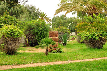 地标旅游阿拉伯加迪尔市莫罗科奥霍公园植物花图片