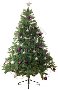白背景上的圣诞树背景图片