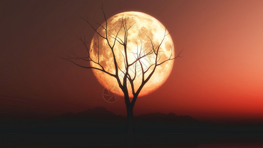 3D在红月光的天空上形成一棵树古老的风景使成为夜晚观图片