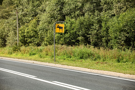 麋鹿象征道路标志注意风险图片