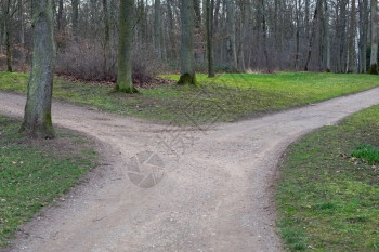 森林中道路的右叉或左方向象征一种背景图片