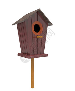 木头盒子3d鸟群三D化为白色的孤立巢图片