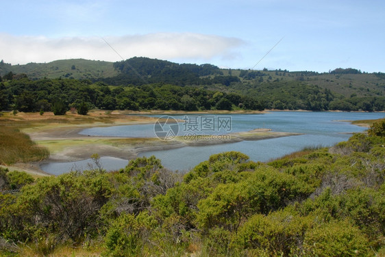 桑加利福尼亚州圣马特奥县水晶泉储藏所树木希夫曼图片