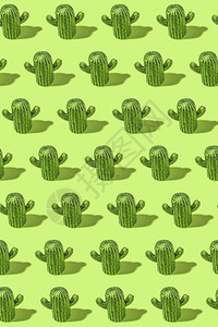 细节绿色Cactus模式背景花图片