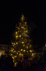 圣诞树夜景夜晚发光的圣诞树背景