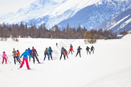 冬天种族瑞士阿尔卑斯山的跨国滑雪者越野图片