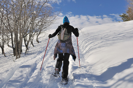 旅行者登雪山图片