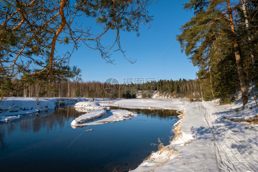 白色的风景与一条小河在寒冬阳光明媚的天气和一片无云的蓝色天空中晴下雪的图片