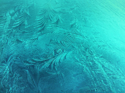 花朵质地冷冻玻璃冰花冬季背景抽象纹理冷若冰霜图片
