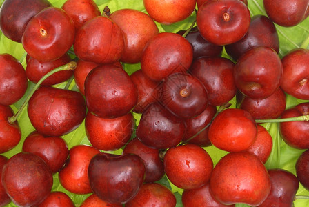 水果小吃绿叶上甜樱桃的果实红色图片