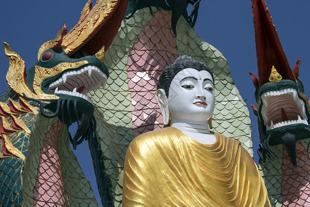 靠近缅甸Monywa附近的佛像宗教的图片