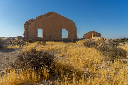 尼察那古老的在以色列为荒漠公园的废墟和历史进行度假为了图片
