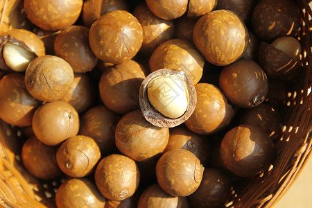 棕色的美味健康抗氧化水果篮子里堆成的坚果图片