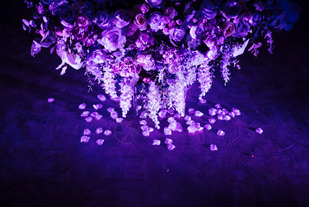 盛开白玫瑰花瓣躺在地板上黑暗的白玫瑰花瓣躺在地板上粉色的降低图片