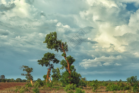 贝拉丘暴风雨扦插马拉维乡村地区风云多雨的美丽景观象在农村一带背景