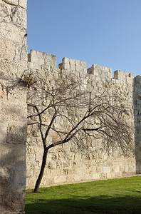 考古学老的耶路撒冷城墙上旧古的墙堵塞图片