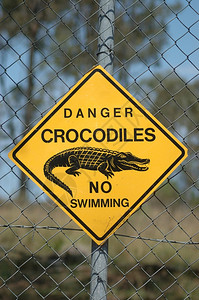 河澳大利亚昆士兰州的鳄鱼正方形安全背景图片