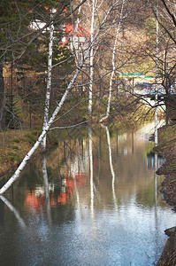 乡间小溪河流和树木图片