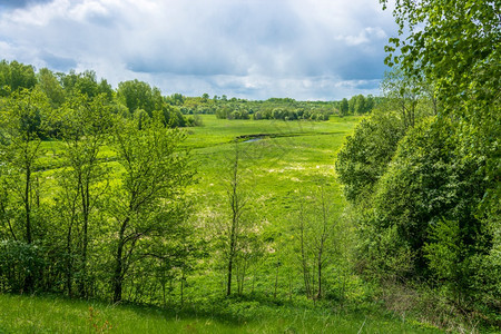春天草地晴在俄罗斯中部的春日美丽风景中俄国部图片