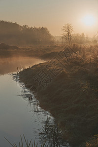 秋天薄雾草太阳在田地上升起池塘清晨被雾淹没图片