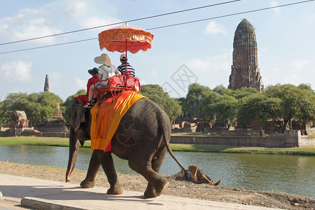 废墟大城府东南象乘旅游者泰国阿尤塔亚洲图片