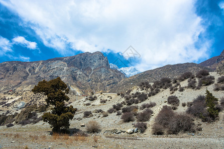 喜马拉雅山上的地貌景观图片