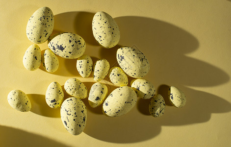 传统的白色点上黄背景的东面鸡蛋装饰长阴影季节团体图片