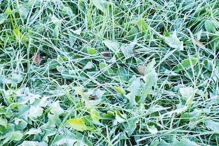 冬天冷若冰霜雪冻的草原背景和地貌观图案图片