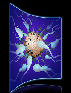 渲染三维生物学精子朝3D软件制成的鸡蛋方向行进图片