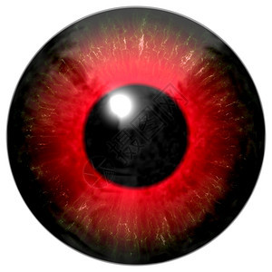 显示红色眼睛在白背景上闪光反射的红眼睛质地色的球图片
