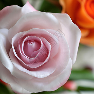 美妙的粘土艺术粉红玫瑰花的紧闭美丽人造鲜花精巧的手工艺颜色制作的花瓣背景图片