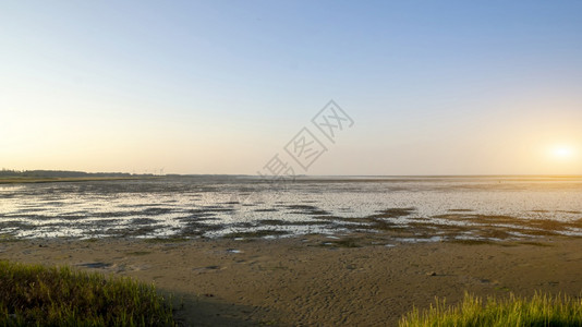 水安静盐沼泽WaddenSea公园海岸图片