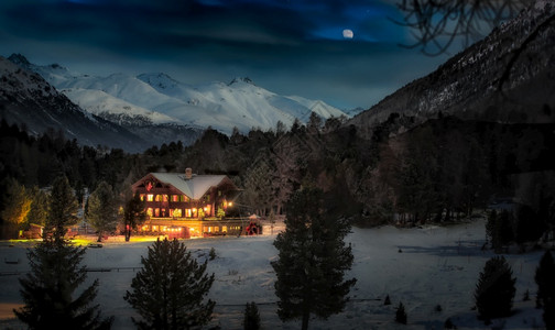 森林雪中的阿尔卑小屋夜晚下雪的图片