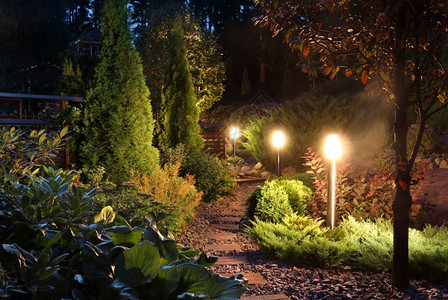 晚上黄昏时的灯光和植物点火化家用花园小道发光的树照明图片