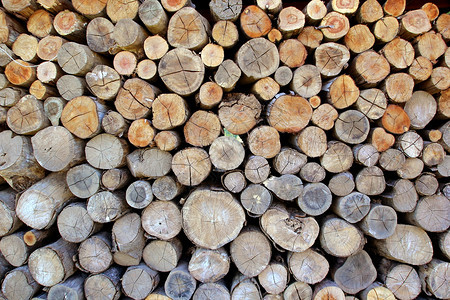 树干木材作为背景或纹理的木立柱堆图片