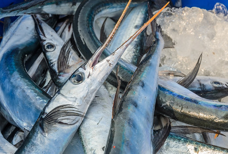 食物欧米茄海产品市场上的新鲜鱼健康图片