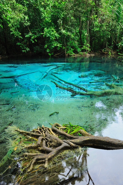 矮林深森中的蓝湖景观溪流图片