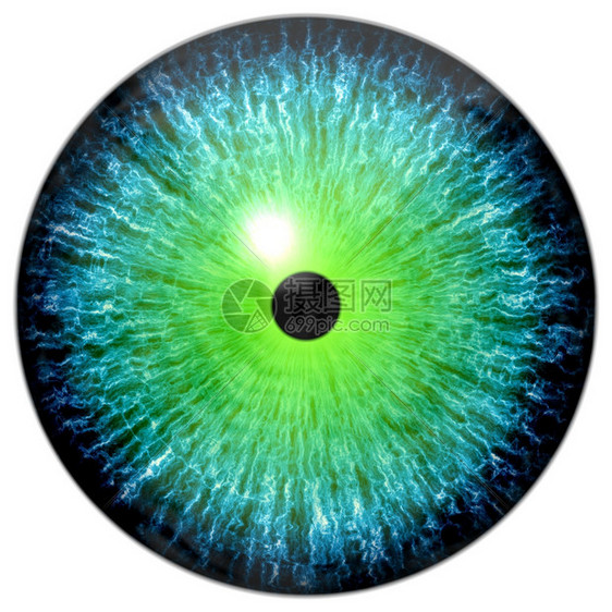 一种颜色人类显示蓝绿眼睛在白色背景上闪光反射的蓝色绿眼睛图片