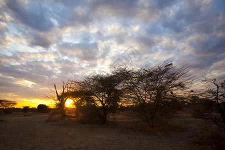 景观环境干旱美丽的非洲日落与无尽的天空图片