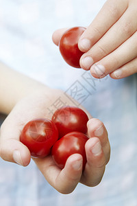 手心里的小番茄背景图片