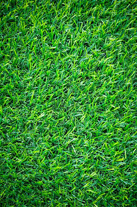 高尔夫球自然新鲜的人工绿草造地盘背景和质人造绿色草图片
