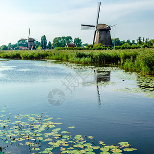 公园绿色河荷兰典型风景图片