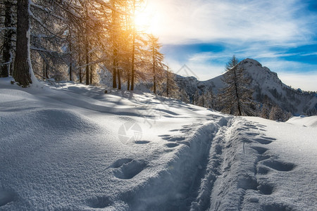 白色的假期履带滑雪运动员粉末图片