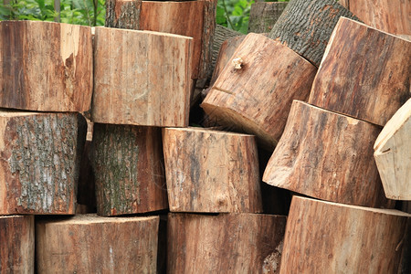 日志乡村的自然树干被锯成碎片木柴图片