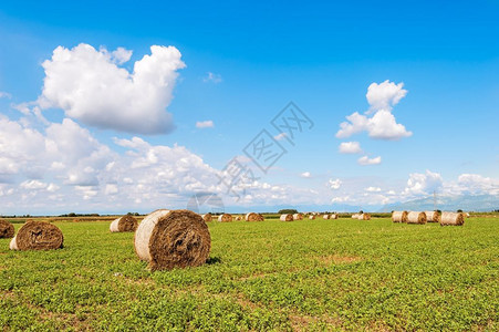 草地在收获的田和蓝天空中环干草圈云层笼罩着大地全景干燥蓝色的图片