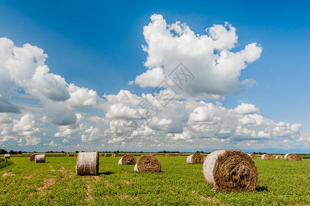 草地场干燥在收获的田地和蓝天空中环干草圈云层笼罩着大地全景图片