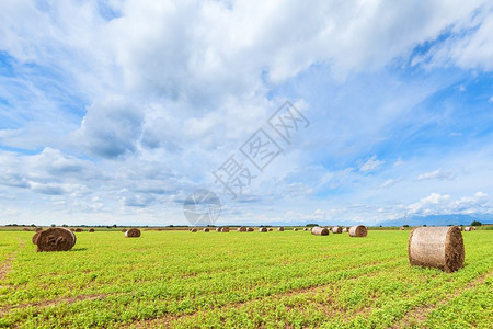 农村乡的生长在收获田地和蓝天空中环干草圈云层笼罩着大地全景图片