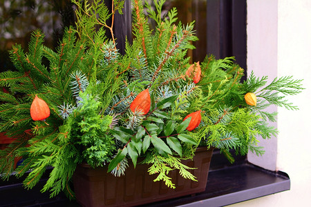 绿色家冬季自然居室装饰在窗台上的锅里装饰着隐形树枝分支植物屋背景