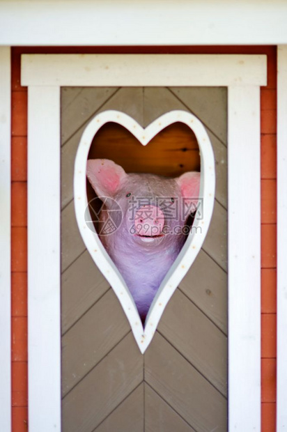 有趣的出去新看心形窗外滑稽粉红小猪概念和符号看心形窗外的滑稽粉红小猪图片